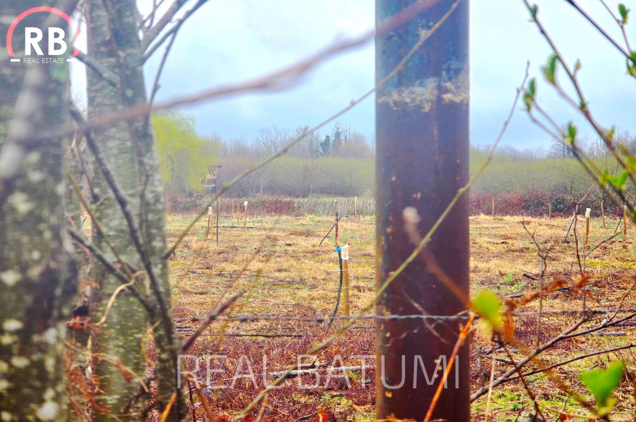 Terreno a Batumi, Georgia, 18 494 m2 - foto 6