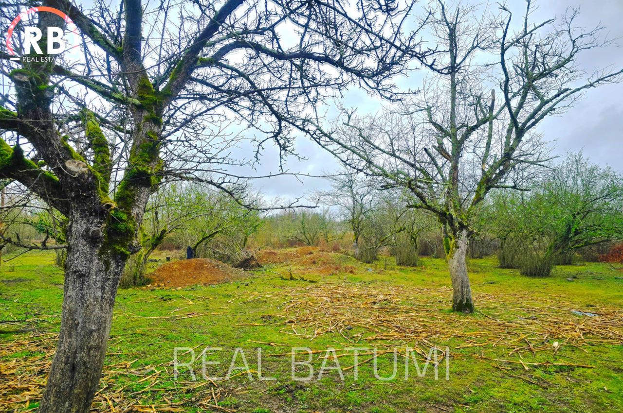 Terreno a Batumi, Georgia, 18 494 m2 - foto 3