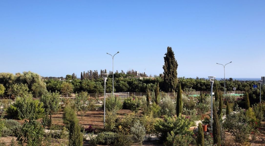 Townhouse in Paphos, Cyprus, 100 m² - picture 4