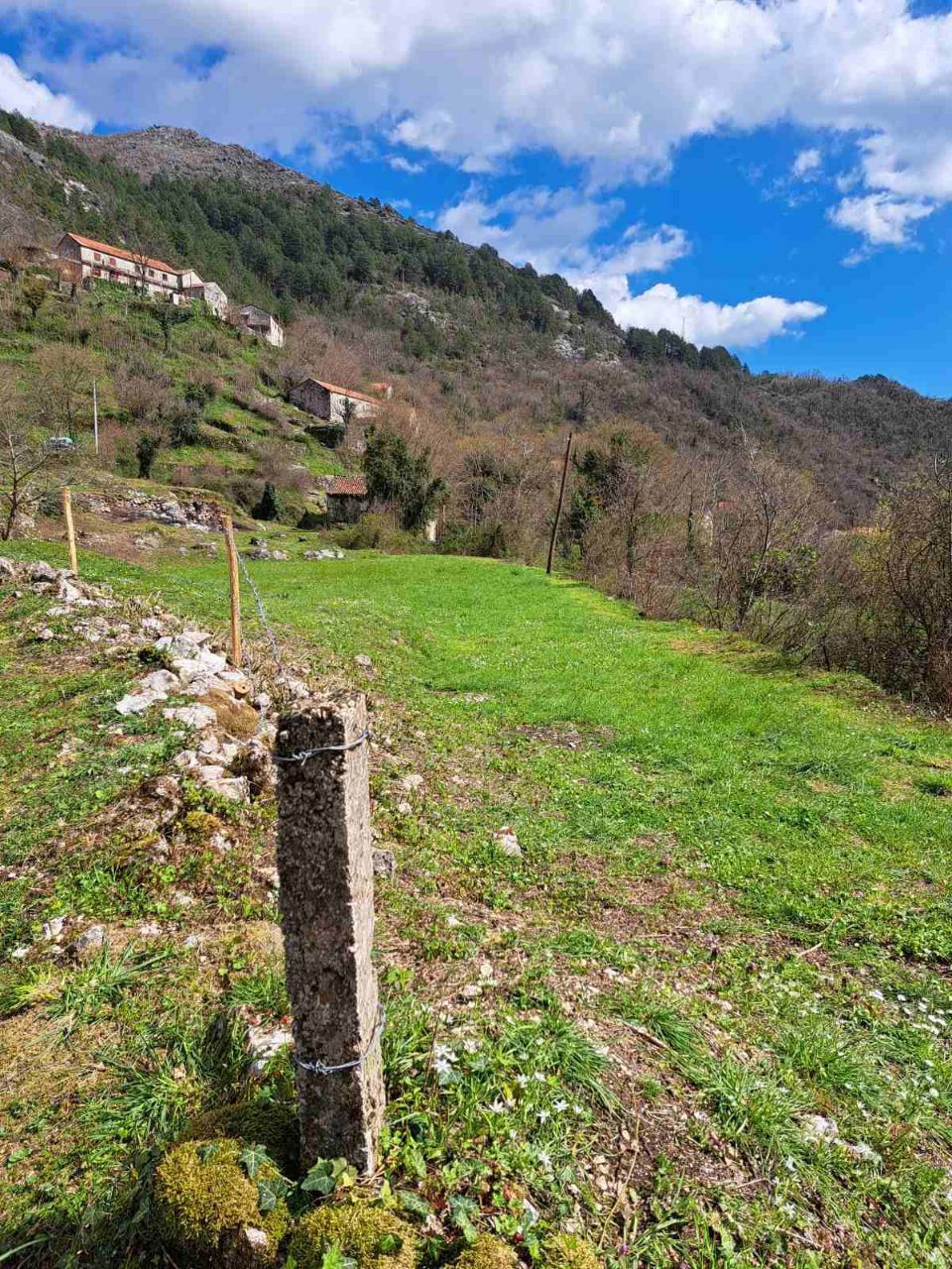 Terrain à Cetinje, Monténégro, 1 870 m² - image 7