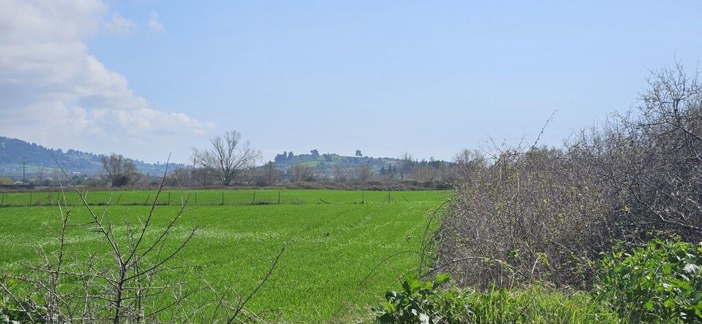 Terreno en Kassandra, Grecia, 4 625 m² - imagen 2