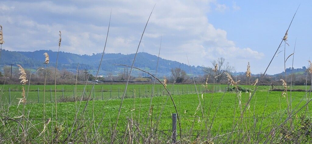 Terreno en Kassandra, Grecia, 4 625 m² - imagen 3