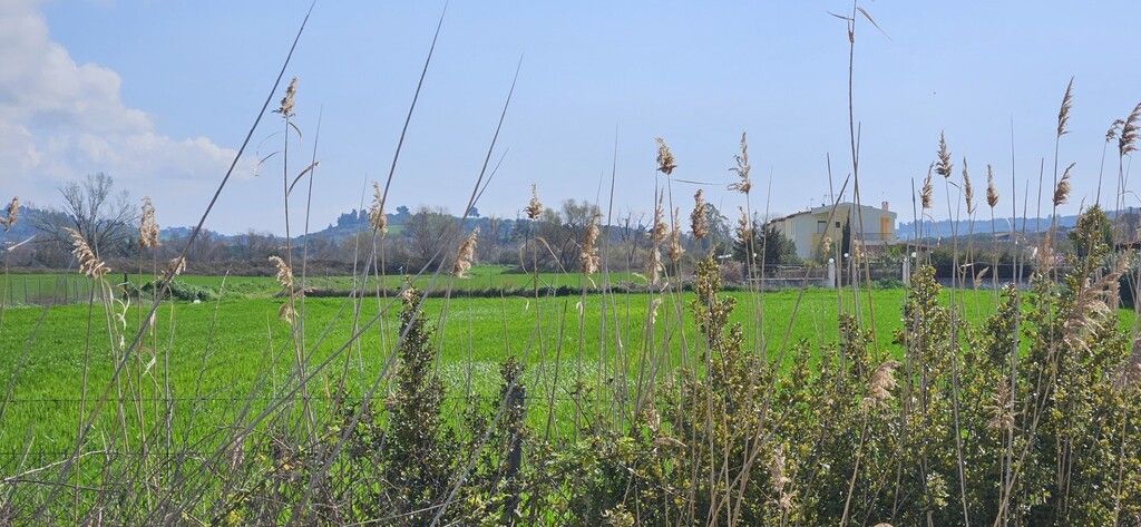 Terreno en Kassandra, Grecia, 4 625 m² - imagen 4