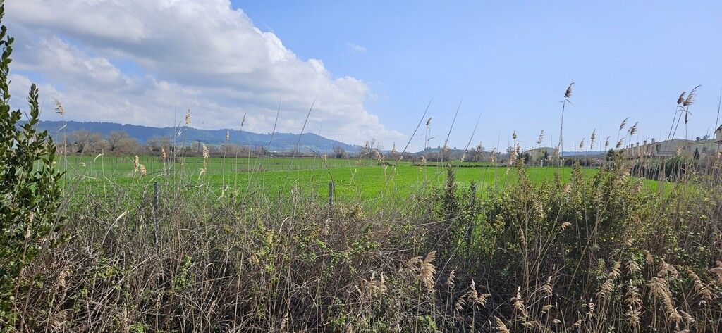 Terreno en Kassandra, Grecia, 4 625 m² - imagen 5