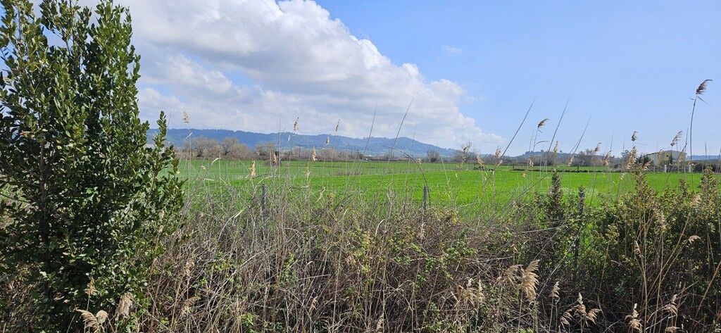 Terreno en Kassandra, Grecia, 4 625 m² - imagen 6