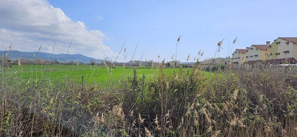 Terreno en Kassandra, Grecia, 4 625 m² - imagen 7