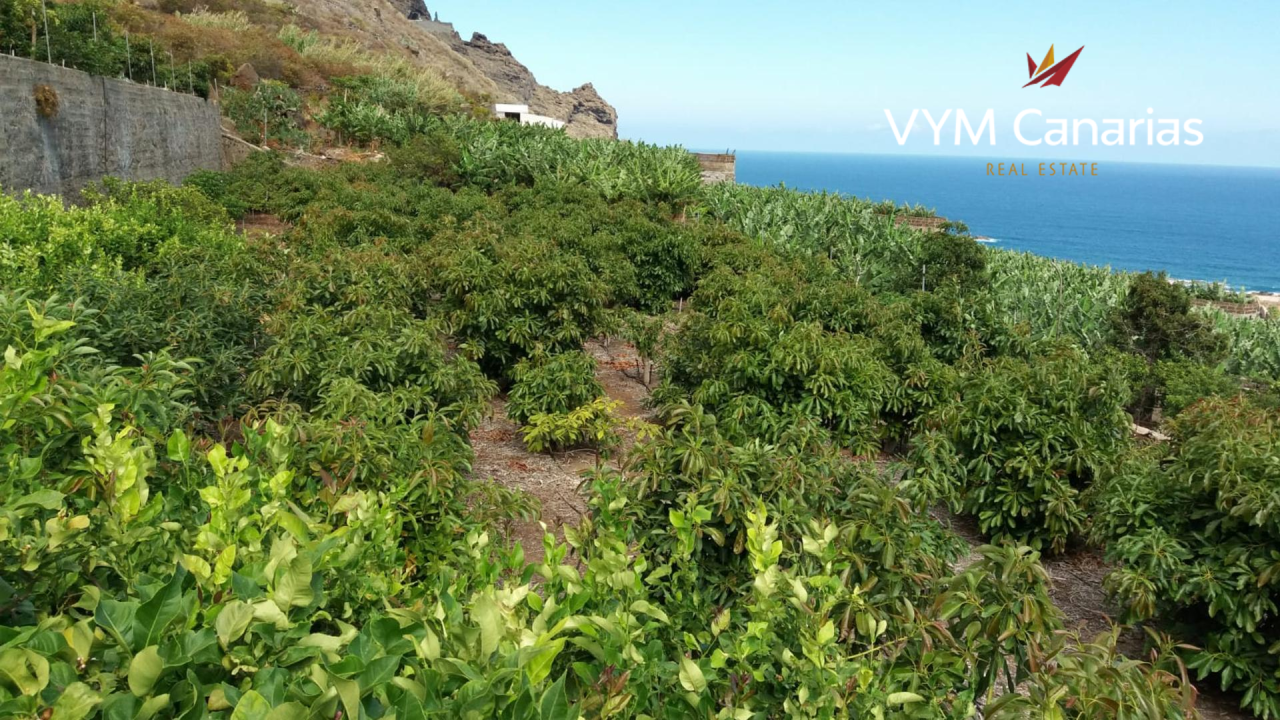 Land on Tenerife, Spain, 300 m² - picture 1