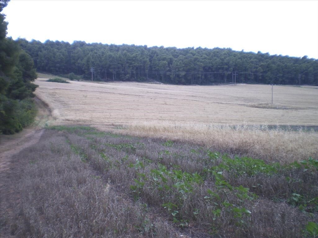 Terreno a Kassandra, Grecia, 4 285 m2 - foto 4