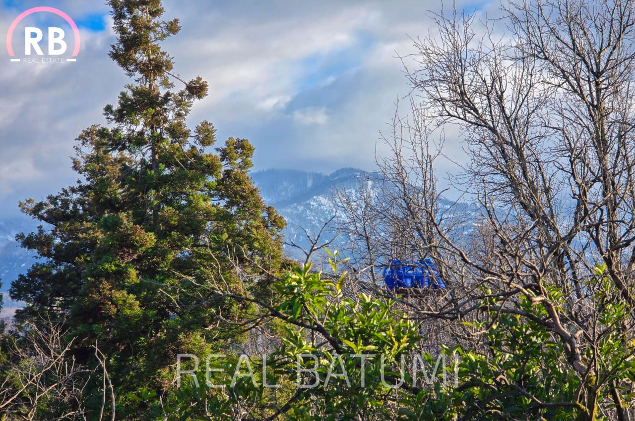 Land in Batumi, Georgia, 2 600 m² - picture 2