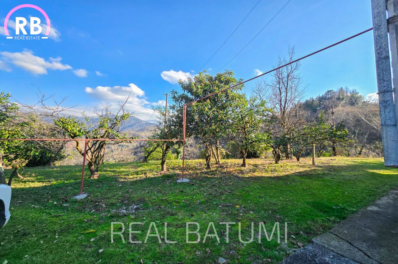 Land in Batumi, Georgia, 3 950 m² - picture 1