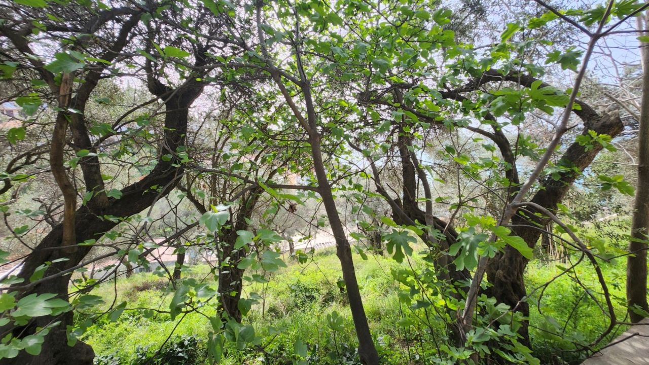 House in Ulcinj, Montenegro, 205 m² - picture 10