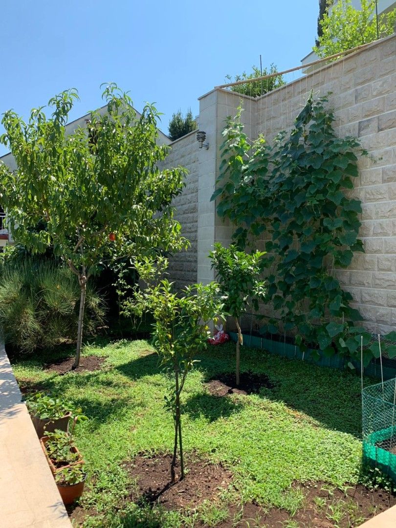 Villa en Herceg-Novi, Montenegro, 230 m² - imagen 11