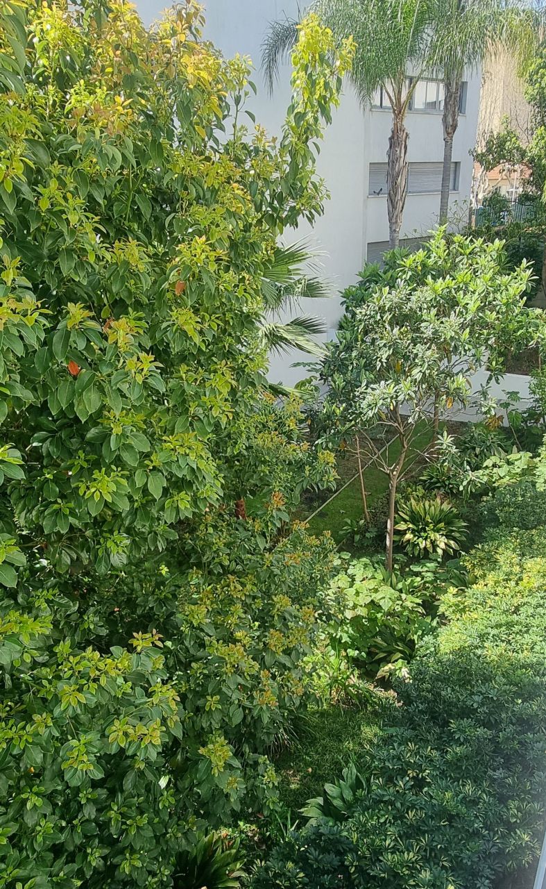 Appartement à Juan-les-Pins, France, 71 m² - image 10