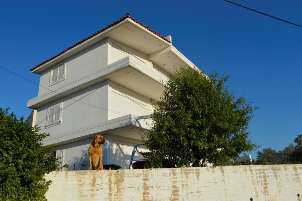 House in Attica, Greece, 300 m² - picture 1