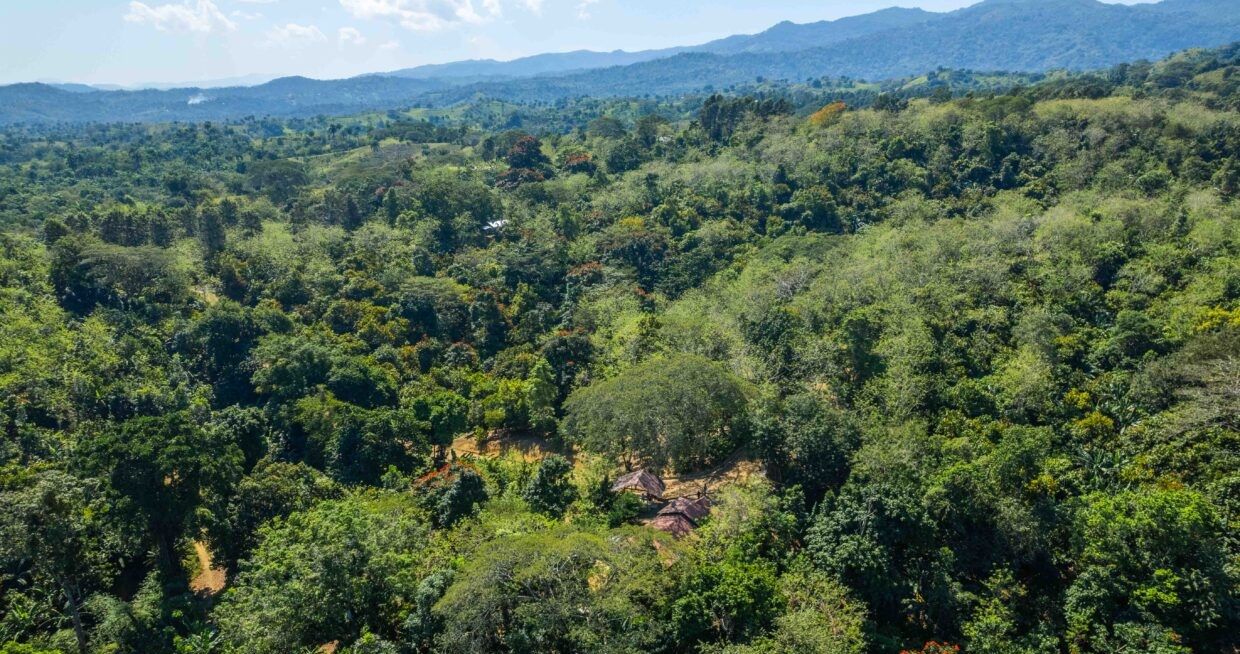 Land in Puerto Plata, Dominican Republic, 70 337 m² - picture 2