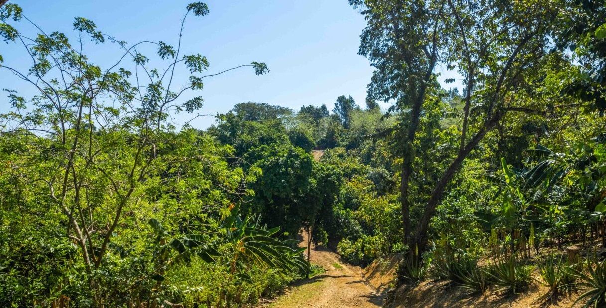 Land in Puerto Plata, Dominican Republic, 70 337 m² - picture 7