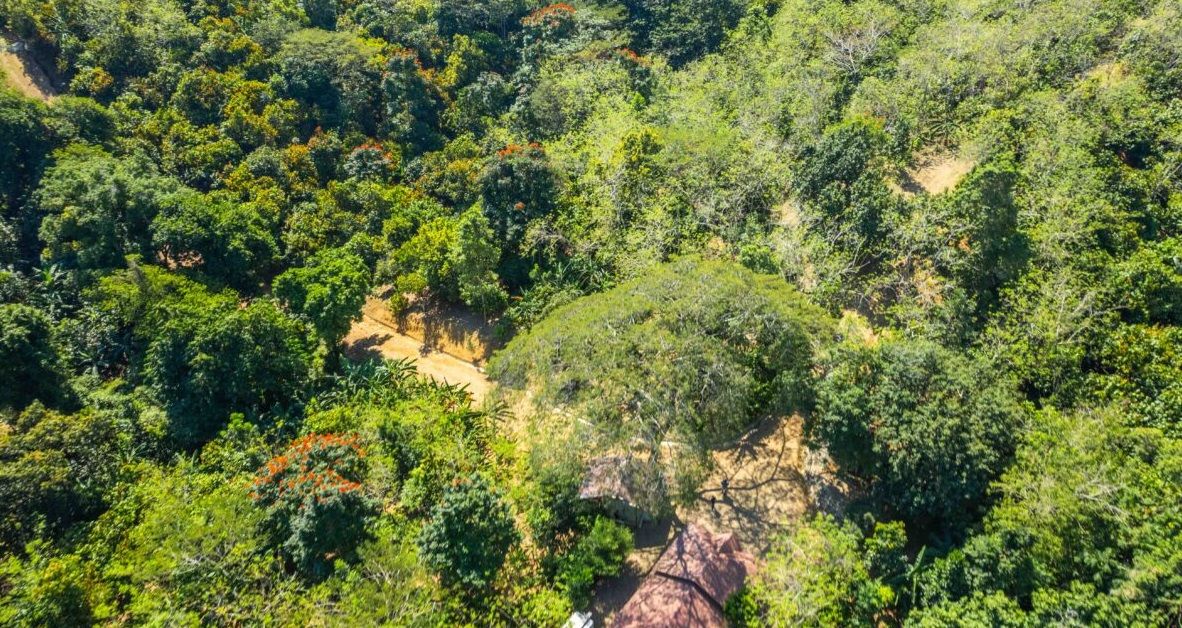 Land in Puerto Plata, Dominican Republic, 70 337 m² - picture 8