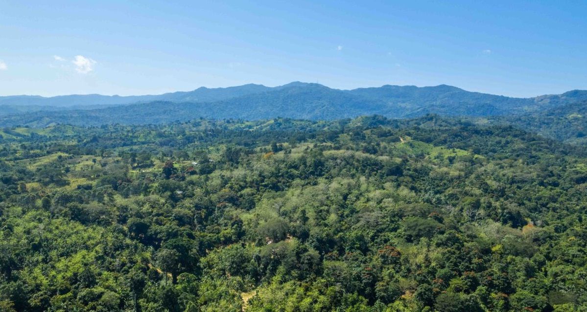 Land in Puerto Plata, Dominican Republic, 70 337 m² - picture 9