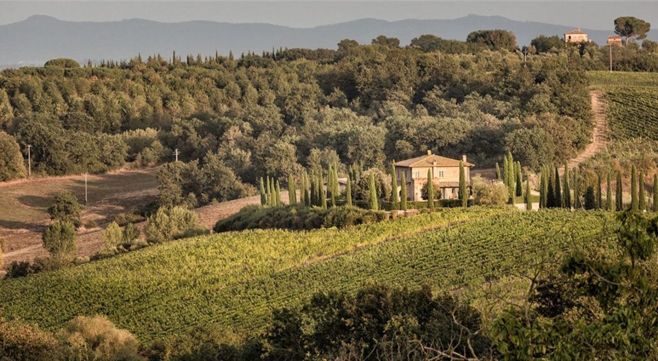 Hotel, albergo a Montepulciano, Italia, 785 m² - foto 3