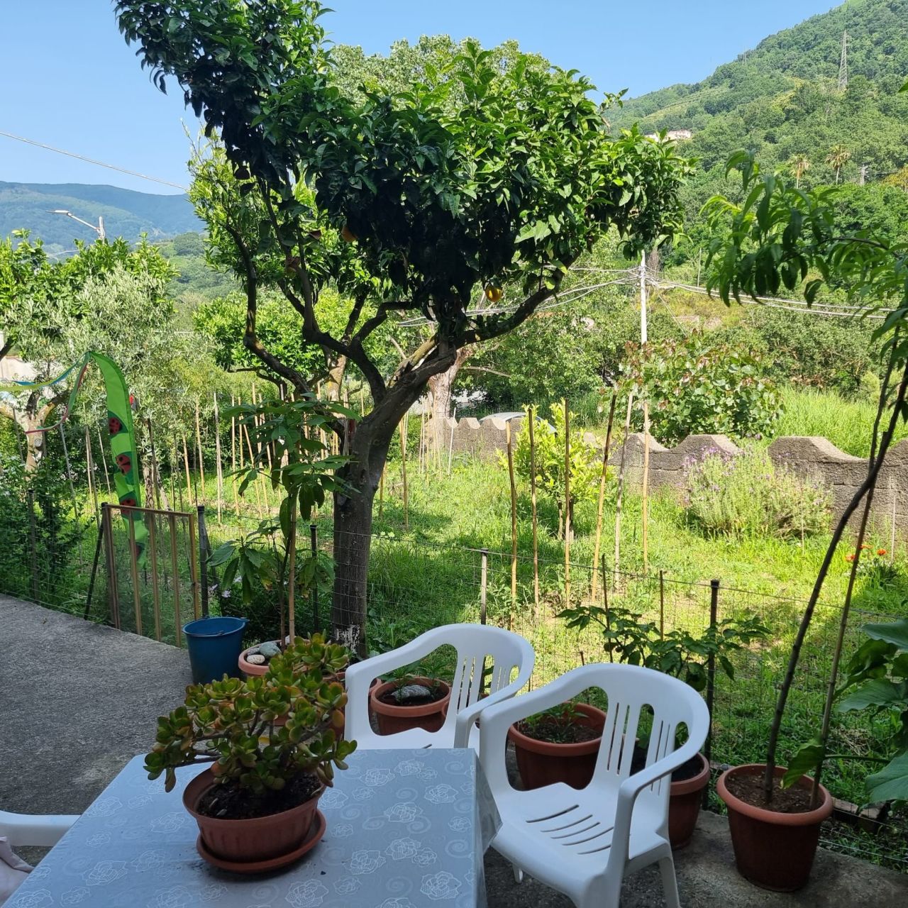 House in Cetraro, Italy, 322 m² - picture 17