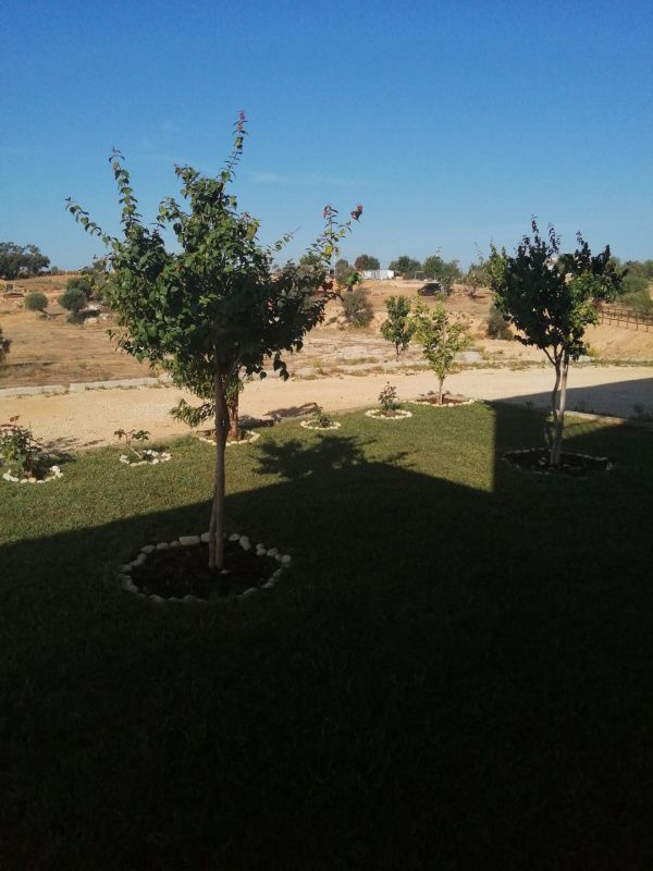 Finca en Algarve, Portugal, 101 520 m² - imagen 3