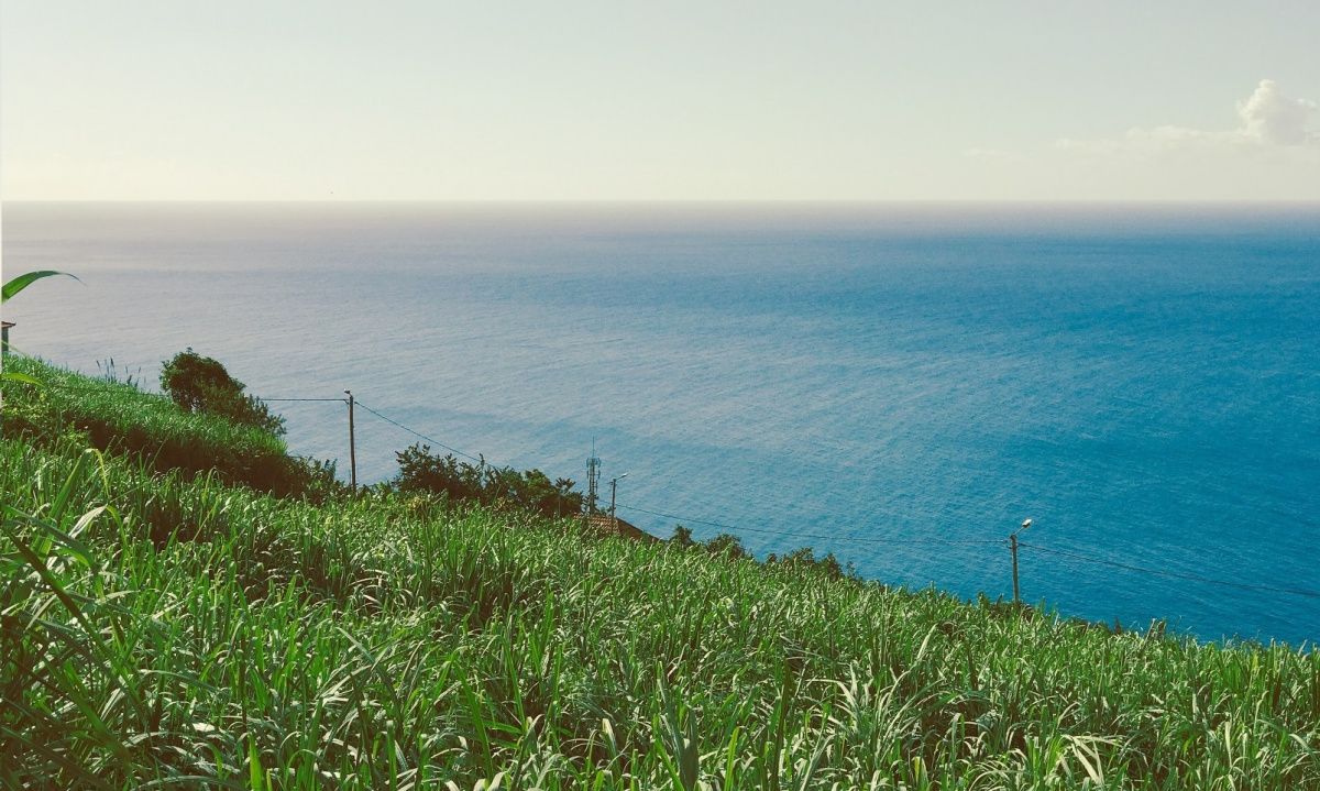 Haus in Madeira, Portugal, 175 m² - Foto 4
