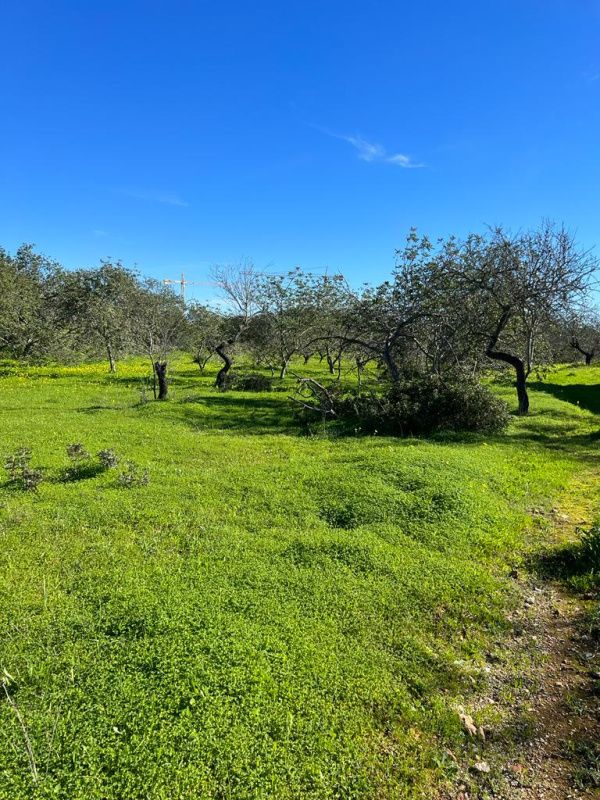Tenuta in Algarve, Portogallo, 126 810 a - foto 4