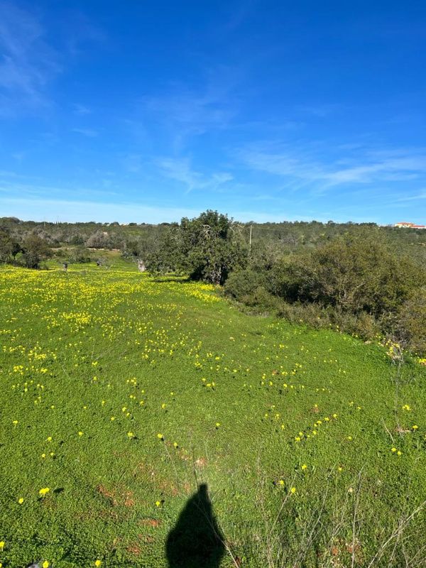 Tenuta in Algarve, Portogallo, 127 770 a - foto 4