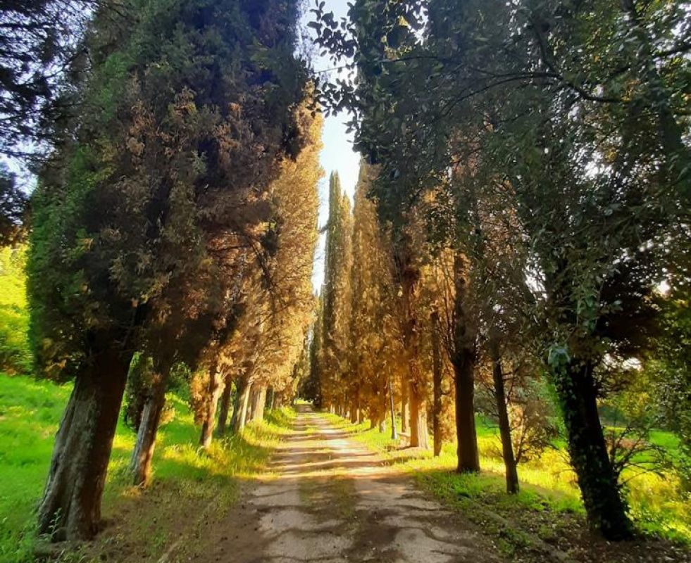 Haus in Pisa, Italien, 2 755 m² - Foto 5