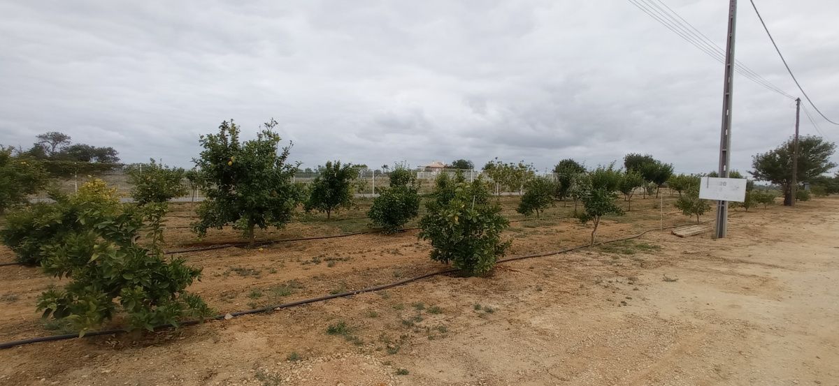 Hotel in Algarve, Portugal, 2 000 m² - Foto 5