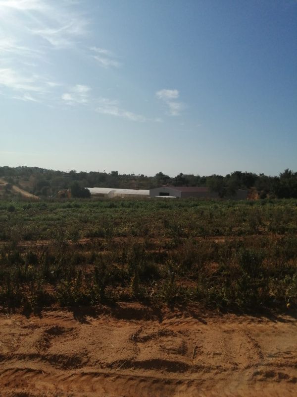 Finca en Algarve, Portugal, 101 520 m² - imagen 5