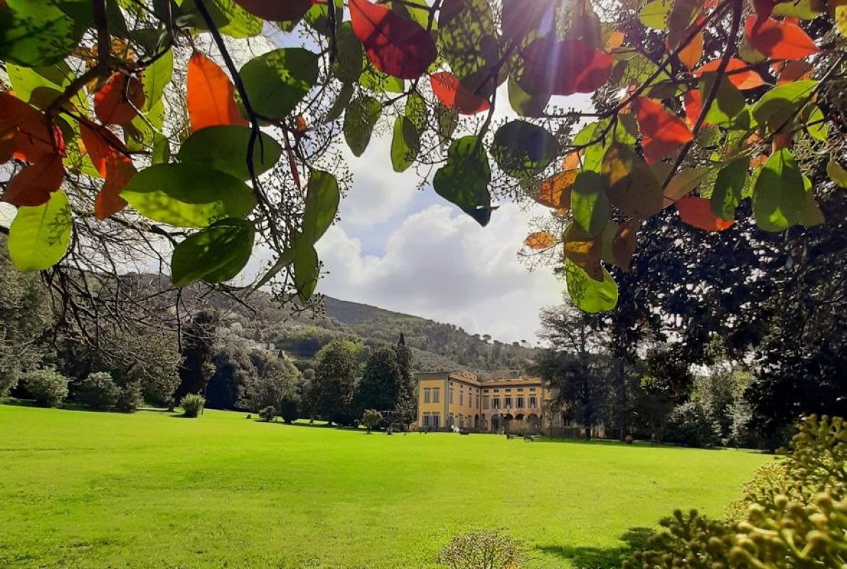 Haus in Pisa, Italien, 2 755 m² - Foto 6