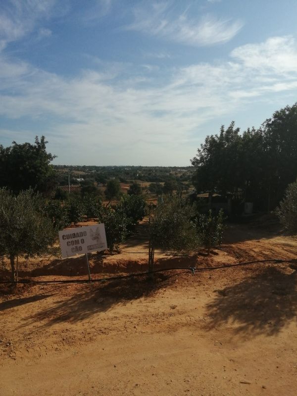 Finca en Algarve, Portugal, 101 520 m² - imagen 6