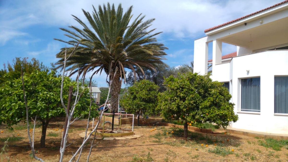 Casa a Limassol, Cipro, 470 m² - foto 7