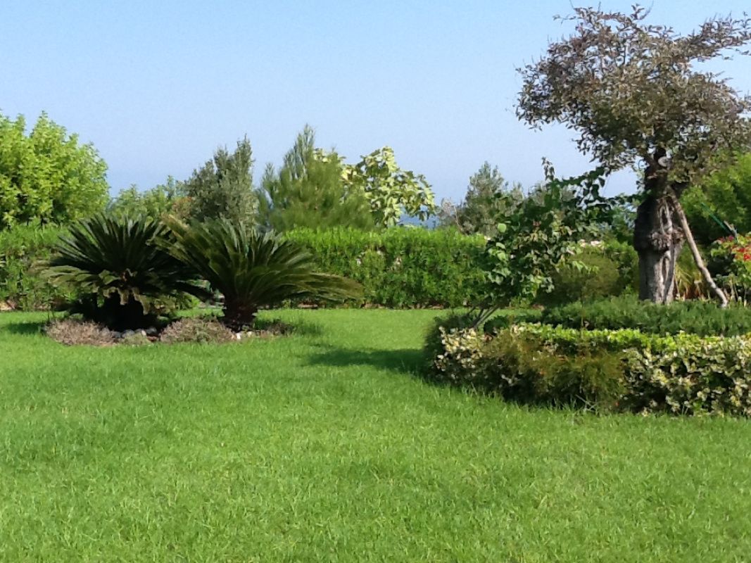 Casa en Pafos, Chipre, 300 m² - imagen 8