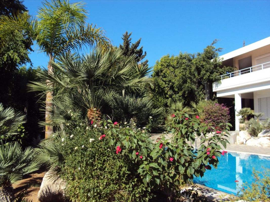 House in Limassol, Cyprus, 647 m² - picture 9