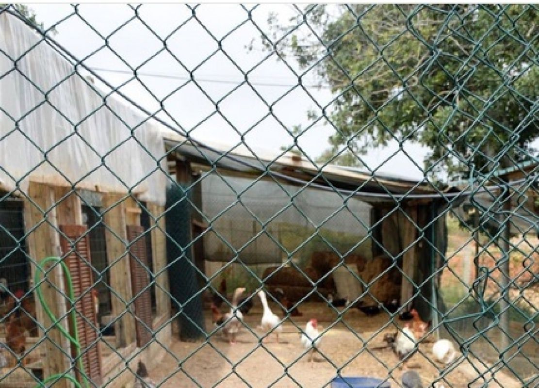 Finca en Algarve, Portugal, 101 520 m² - imagen 11