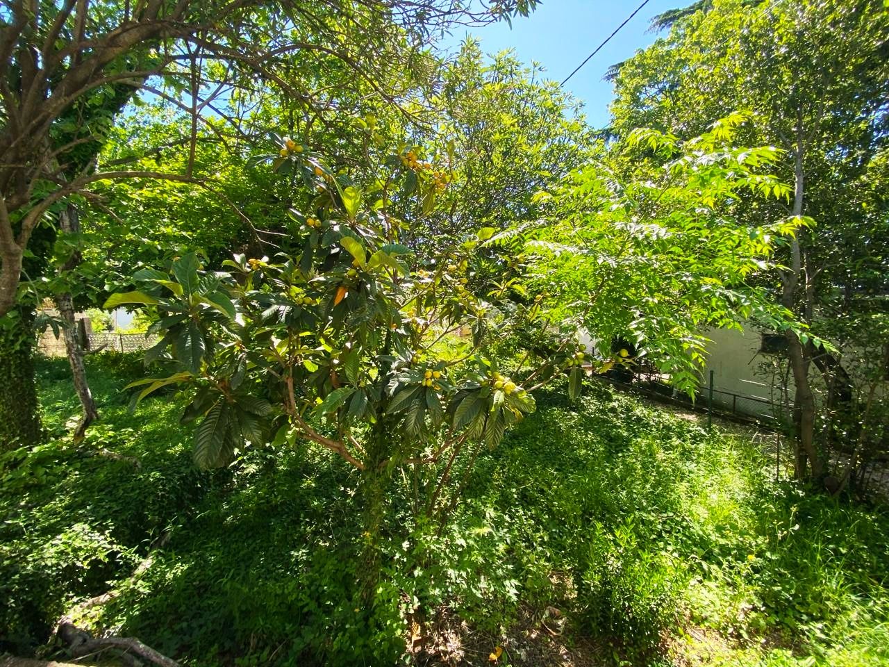 Haus in Sutomore, Montenegro, 173 m² - Foto 6