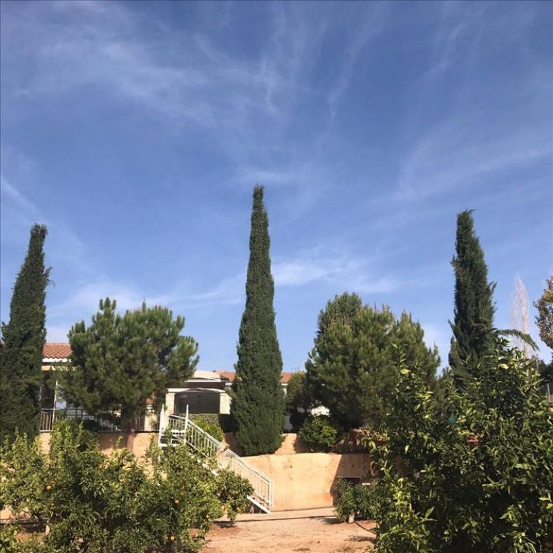 Maison à Paphos, Chypre, 370 m² - image 12