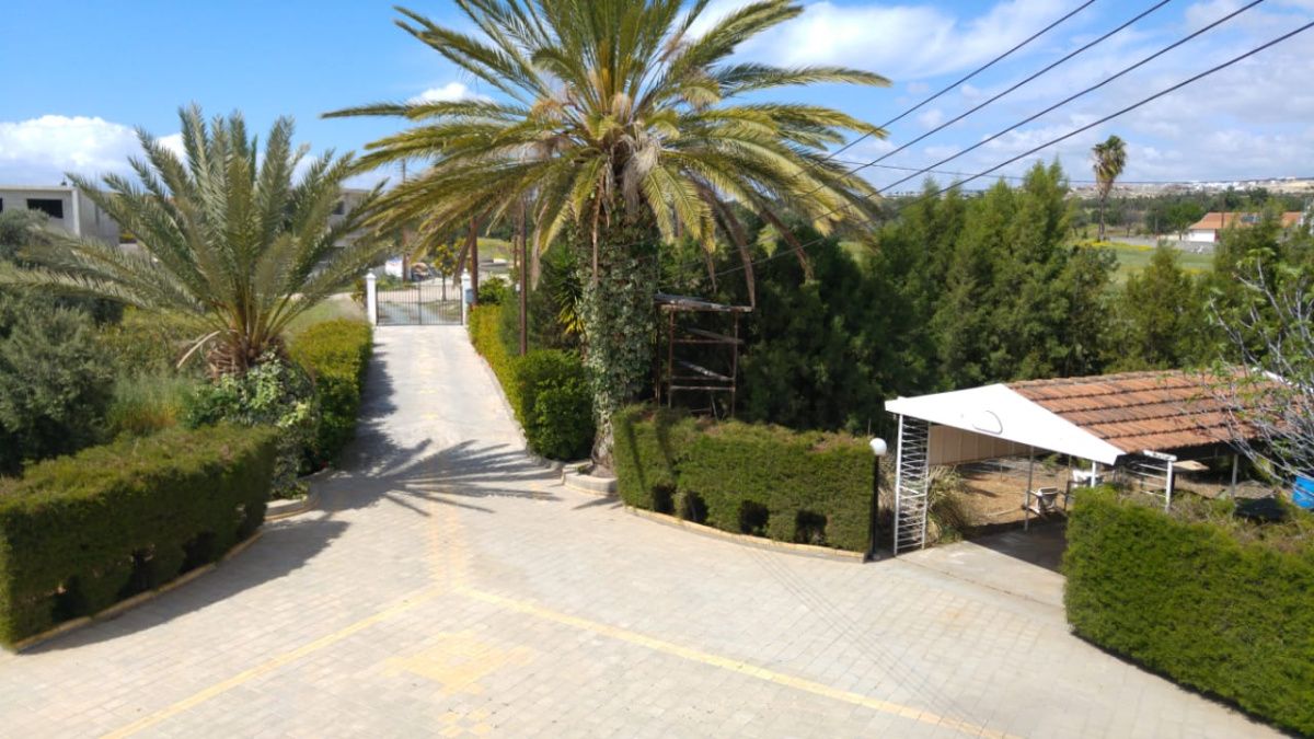 Casa a Limassol, Cipro, 470 m² - foto 12