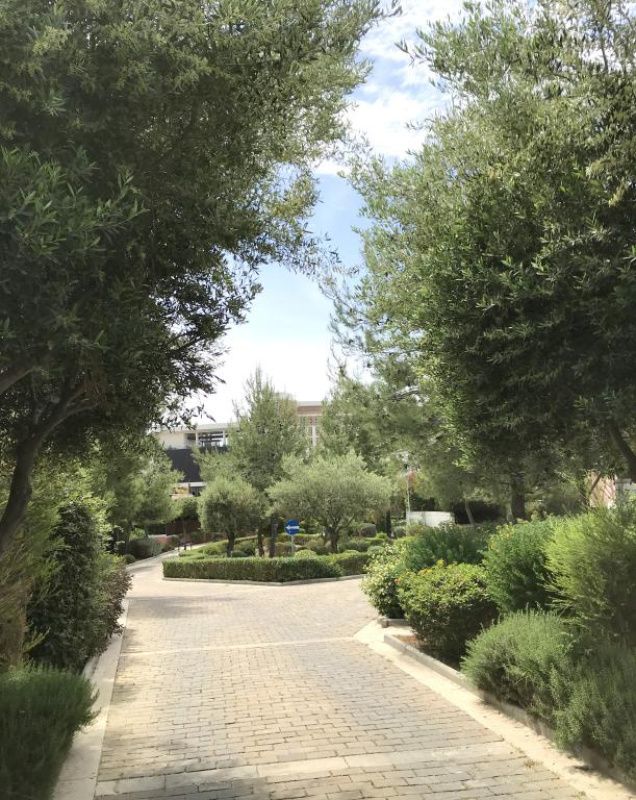 Piso en Limasol, Chipre, 108 m² - imagen 12