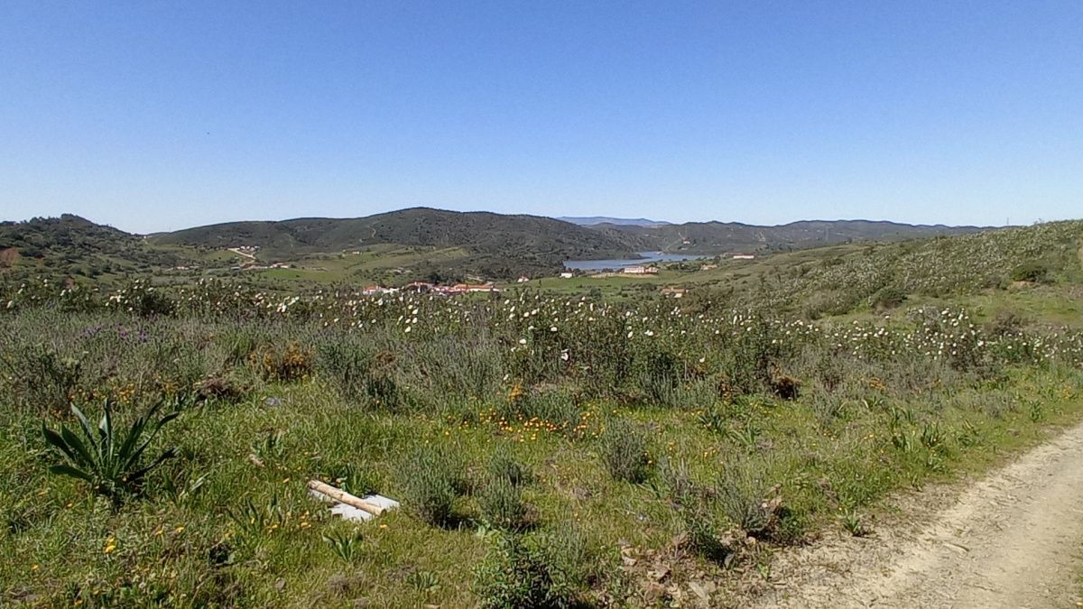 Investment project in Algarve, Portugal, 1 680 m² - picture 13