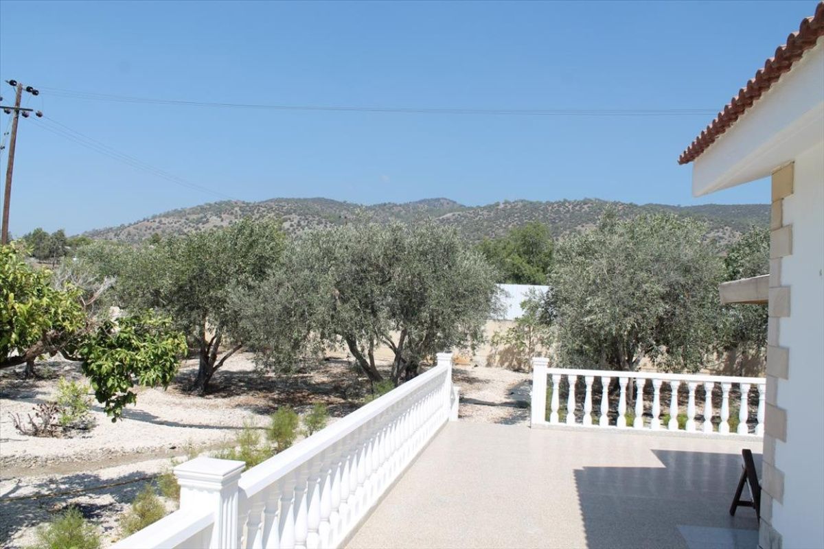 Maison à Limassol, Chypre, 630 m² - image 14