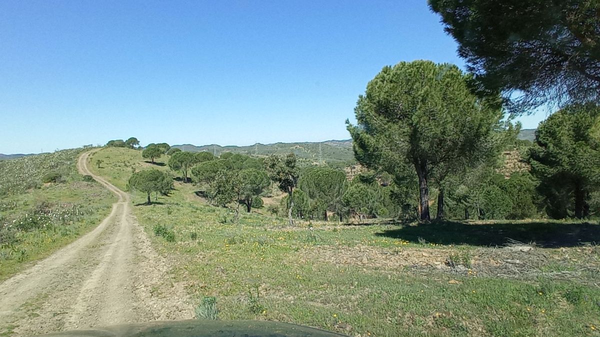 Investment project in Algarve, Portugal, 1 680 m² - picture 15