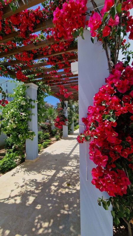 Flat in Limassol, Cyprus, 232 m² - picture 9