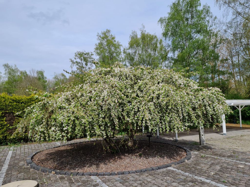 Casa a Düsseldorf, Germania, 180 m² - foto 13