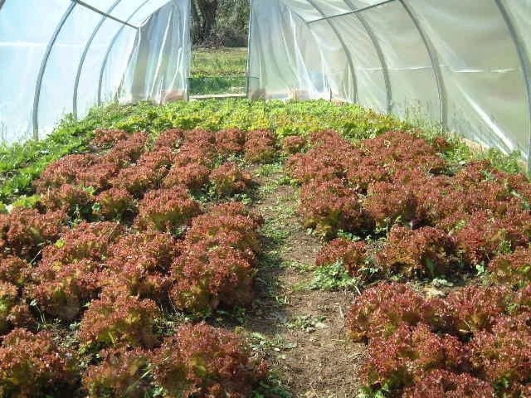 Maison à Portovenere, Italie, 150 m² - image 10