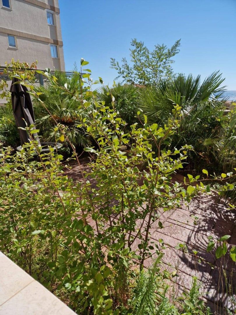 Appartamento a Petrovac, Montenegro, 90 m² - foto 9