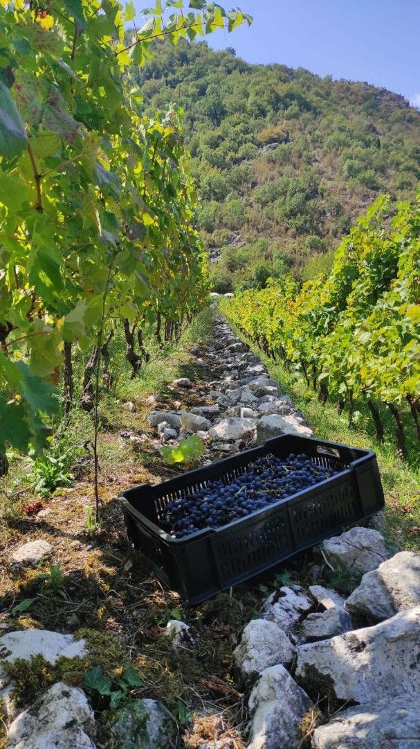 Maison par le Lac Skadar, Monténégro, 170 m² - image 2