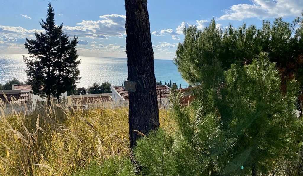 Grundstück in Bar, Montenegro, 958 m² - Foto 2